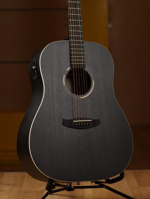 Tanglewood TWBB SD E 2