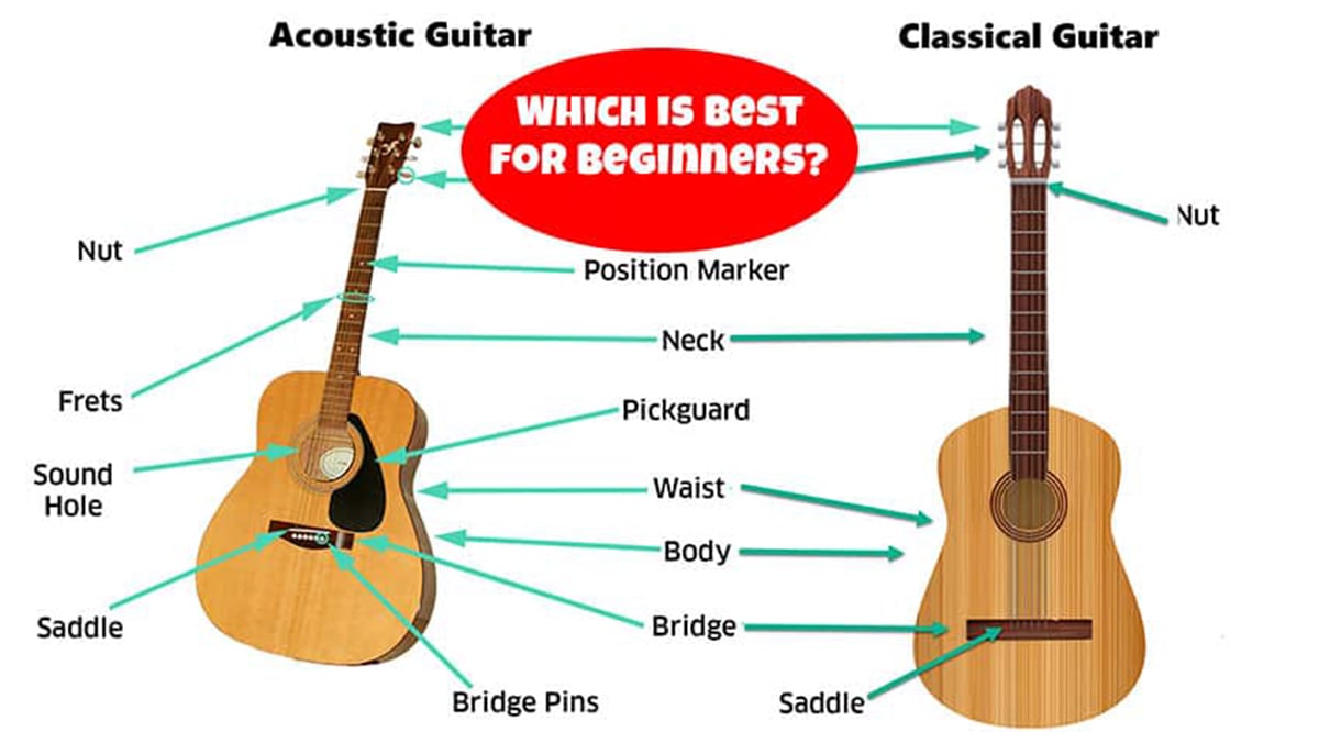 Đàn Guitar Acoustic Là Gì? Phân Loại  Cấu Tạo