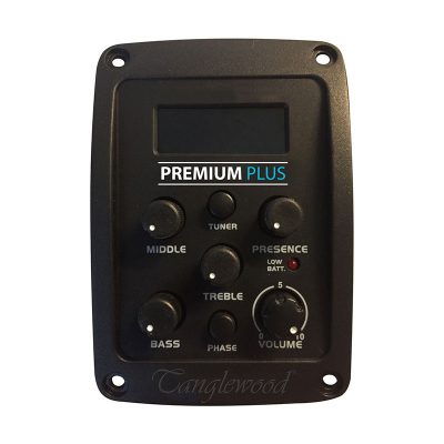 tanglewoodguitars twbbsde 03