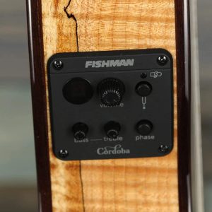 dan guitar classic cordoba c5 cet thinbody limited edition 9