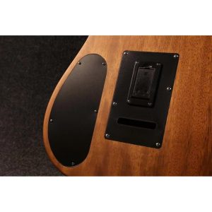 dan guitar dien sqoe seae910 10