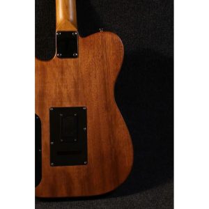 dan guitar dien sqoe seae910 13