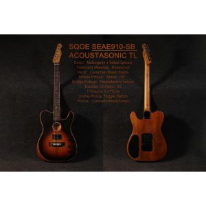 dan guitar dien sqoe seae910 18
