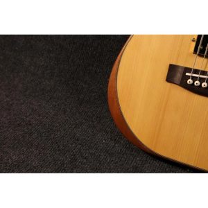 dan guitar dien sqoe seae910 7