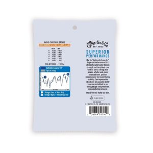 day dan guitar acoustic martin authentic acoustic sp phosphor bronze 11