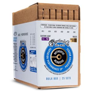 day dan guitar acoustic martin authentic acoustic sp phosphor bronze 25