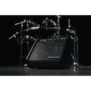 amplifier trong dien nux npa 100 combo 6