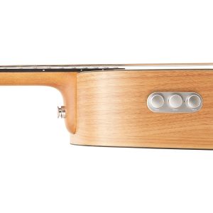 dan guitar acoustic blue lava original size 36 freeboost 5