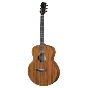 dan guitar acoustic enya ea x1 size 41 2