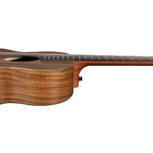 dan guitar acoustic enya ea x1 size 41 6