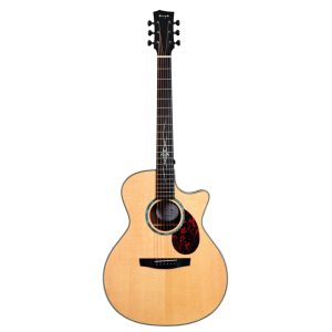 dan guitar acoustic enya ega q1 pro size 41 4
