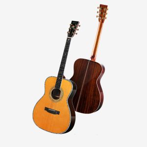 dan guitar acoustic enya t 10sde acousticplus w case 3