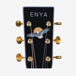 dan guitar acoustic enya t 10sde acousticplus w case 5