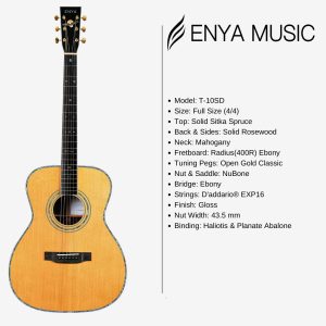 dan guitar acoustic enya t 10som w case 2