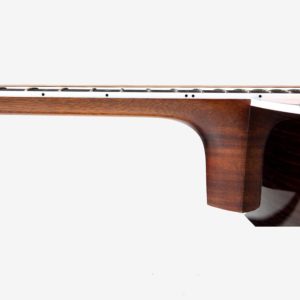 dan guitar acoustic enya t 10som w case 4