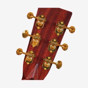 dan guitar acoustic enya t 10som w case 7