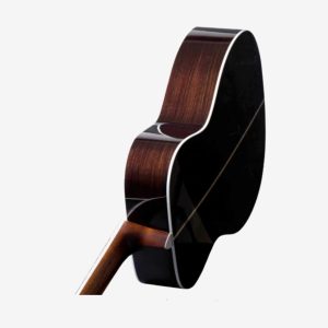 dan guitar acoustic enya t 10some acousticplus w case 7