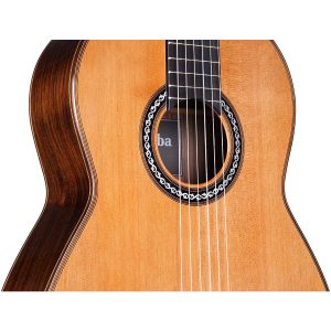 dan guitar classic cordoba c10 cd in parlor w bag 4