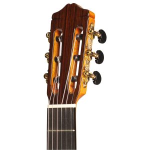 dan guitar classic cordoba c10 cd in w bag 11