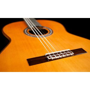 dan guitar classic cordoba c10 cd in w bag 5