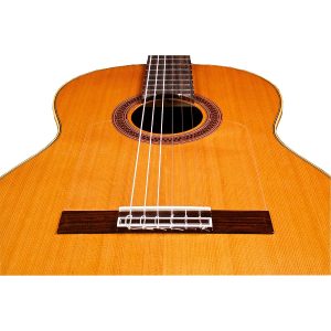 dan guitar classic cordoba c10 sp in w bag 6