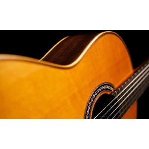 dan guitar classic cordoba c12 cd in w case 5