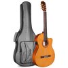 dan guitar classic cordoba c5 cet thinbody w deluxe gigbag 1