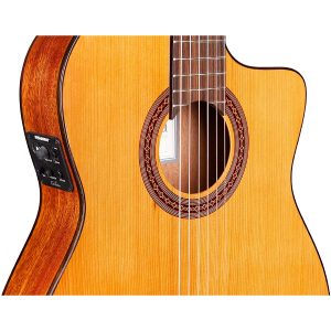 dan guitar classic cordoba c5 cet thinbody w deluxe gigbag 4