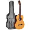 dan guitar classic cordoba c7 cd in w bag 1