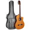 dan guitar classic cordoba c7 ce cd w bag 1