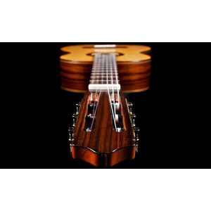 dan guitar classic cordoba c7 sp w bag 4