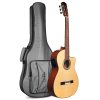 dan guitar classic cordoba fusion 12 natural sitka spruce w deluxe gigbag 1