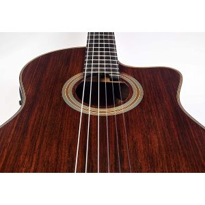 dan guitar classic cordoba fusion 12 rose ii w bag 7