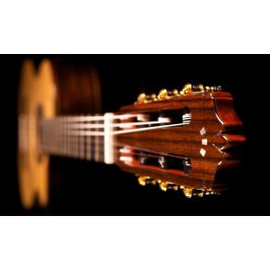 dan guitar classic cordoba gk pro negra sp in w case 6