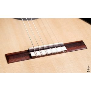 dan guitar classic cordoba master series torres sp in w case 8