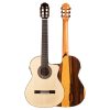 dan guitar classic flamenco cordoba 55fce negra w case 1