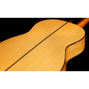 dan guitar classic flamenco cordoba f10 sp cy 7
