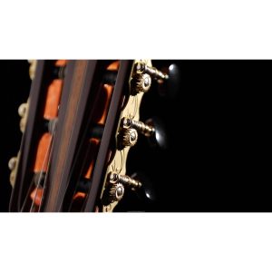 dan guitar classic martinez mc118s 4