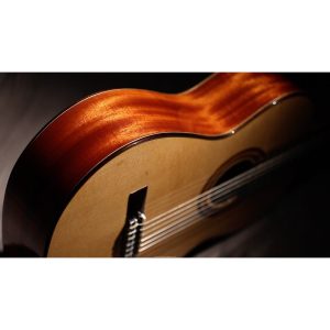 dan guitar classic martinez mc118s 5