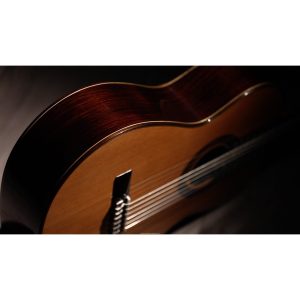 dan guitar classic martinez mc128c 5