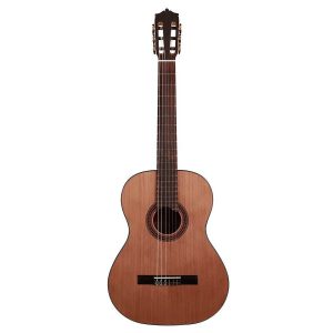 dan guitar classic martinez mc48c 3