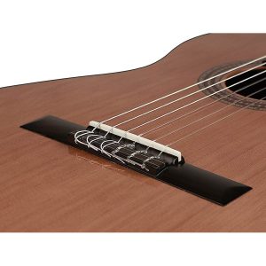 dan guitar classic martinez mc48c 4