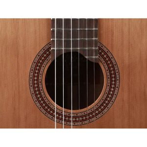 dan guitar classic martinez mc48c 5