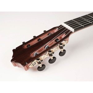 dan guitar classic martinez mc48c 7