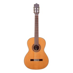 dan guitar classic martinez mc58c 3