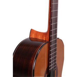 dan guitar classic martinez mc58c 4