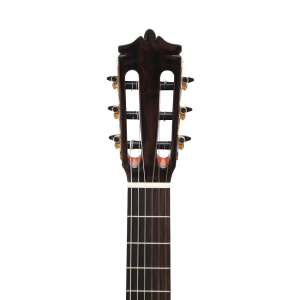 dan guitar classic martinez mc58c ce 5