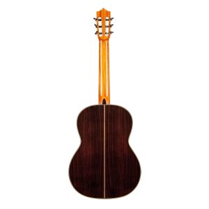 dan guitar classic martinez mc88c 2