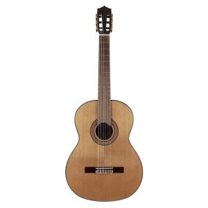 dan guitar classic martinez mc88c 6