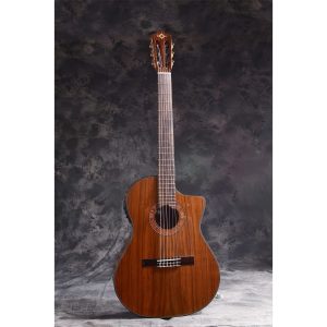 dan guitar classic martinez mp 14 ovangkol artist 3